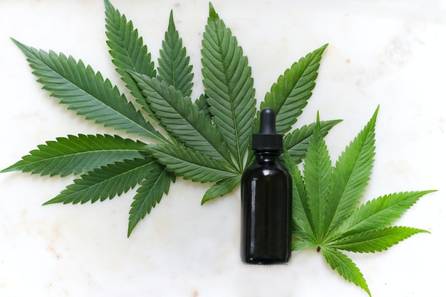 Cannabis-based products: takeaways & future policy changes