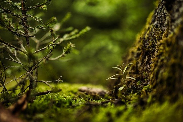 Discussions on new climate finance initiatives progress at COP26