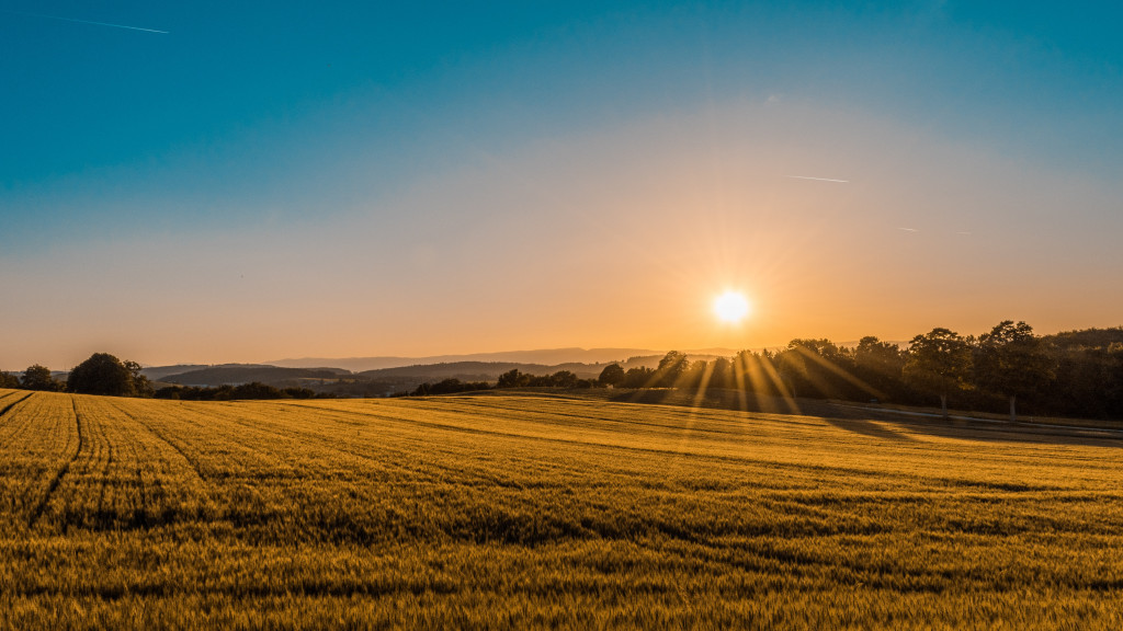 Brazilian rural land authority issues rules for approving projects in settlement areas