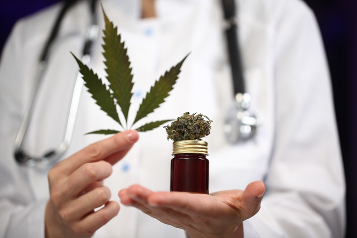 Consulta pública recebe contribuições sobre medicamento à base de Cannabis
