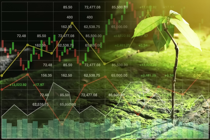 CVM exigirá divulgação de informações ESG no formulário de referência