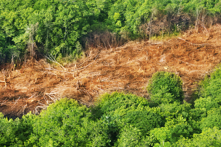 Brasil se prepara para participar da COP 26