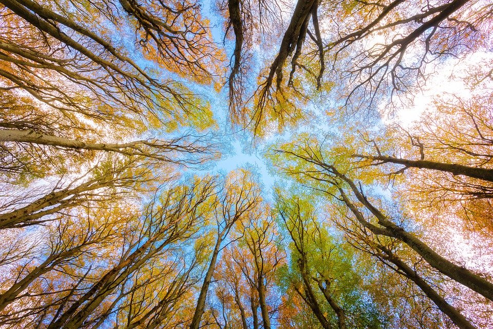 Aquecem as discussões sobre litigância climática no Brasil