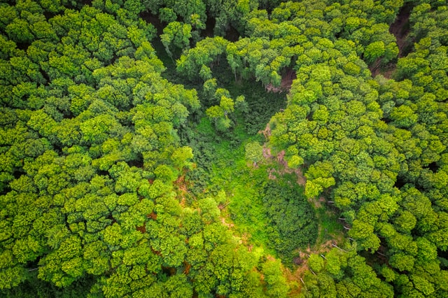 Saiba os principais acontecimentos da COP26 e as expectativas para 2022