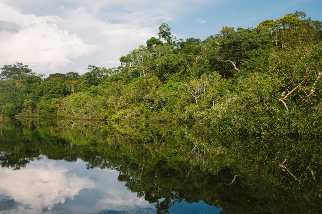 SalveOCódigoFlorestal - APPS Urbanas - Observatório do Código Florestal