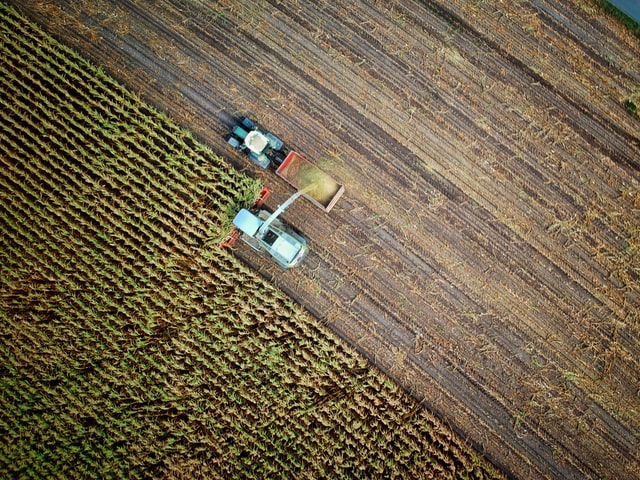 CETESB possibilita acordo para quitação de multas por queima de cana-de-açúcar