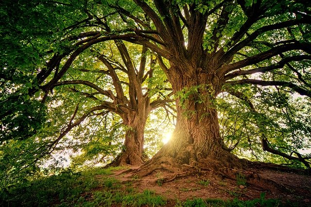 Nature and Land Use Day marked by new agriculture commitments