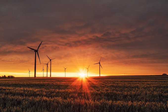 Sunrise over the horizon of a field with crops, with distributed wind power poles