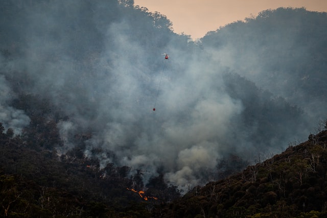 UE discute novas diretrizes para combate à emergência climática