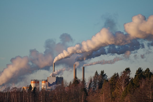 Governo Federal estabelece parâmetros para o mercado regulado de carbono