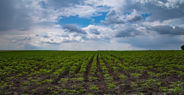 Agronegócio ganha mais uma alternativa para financiamento via debêntures incentivadas