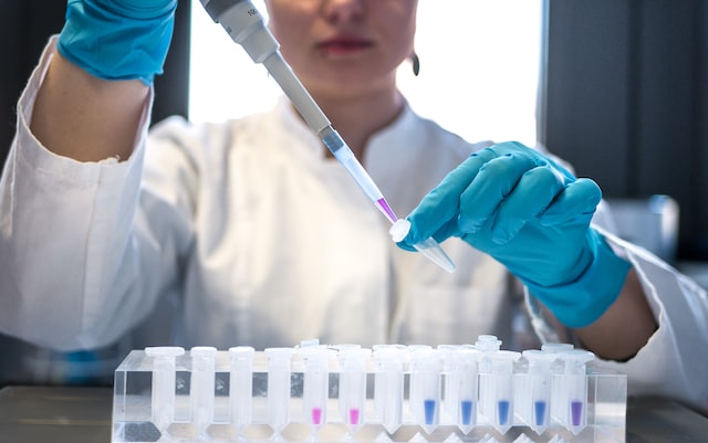 CTNBio abre consulta pública sobre liberação comercial de OGMs