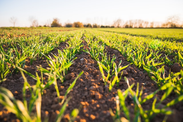Lei cria programas de autocontrole agropecuário no Brasil