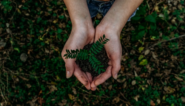 Mulher branca segurando uma muda de planta no meio da mata