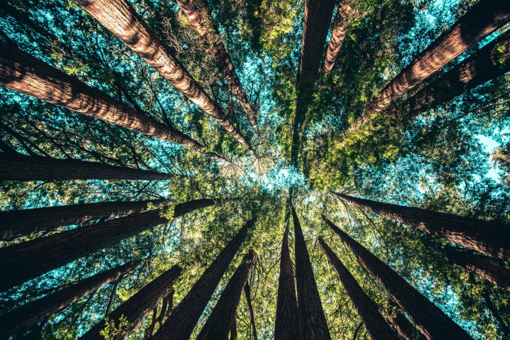 Boletim ESG: confira as tendências que impulsionaram o setor em maio e junho
