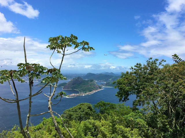 Floresta e mar do Rio de Janeiro